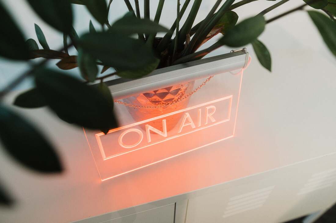Leuchtschild mit der Aufschrift ON AIR hinter einer Grünpflanze im Büro